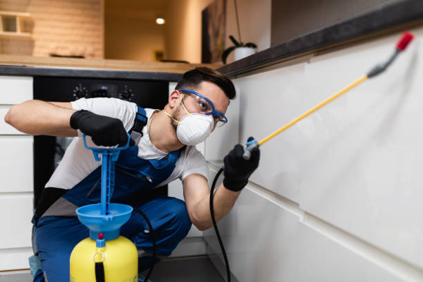 Best Flea Control Services  in Crump, TN